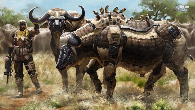 上海迪士尼为什么老是打架？